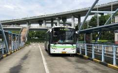 富阳11路公交车路线