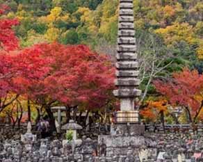 宁波四日游（完整攻略）